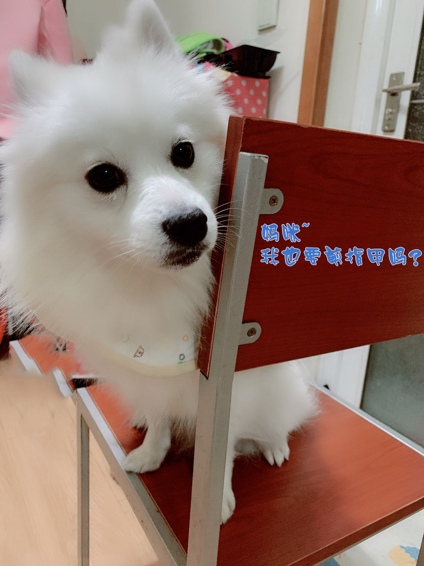 图片1
