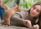 Shocking! Dog Actually Sexually Harasses Owner