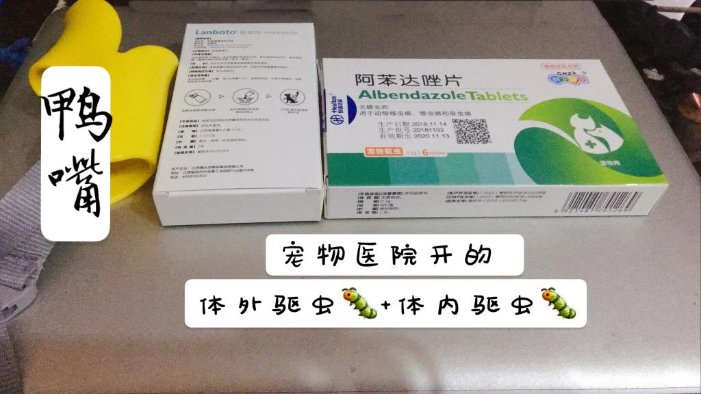 图片1