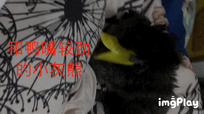 图片1