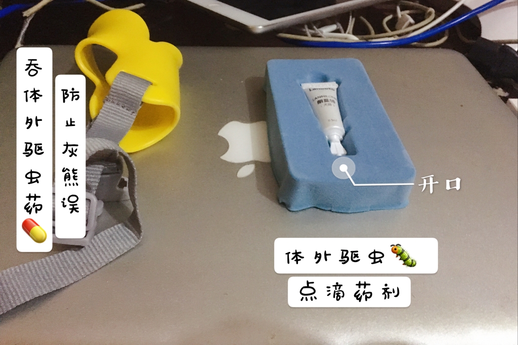 图片1