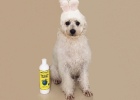 Small Dog Bath Little Diary - Earthbath Low Allergy Tear-free Shampoo Review