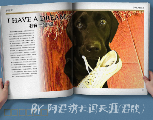 图片1