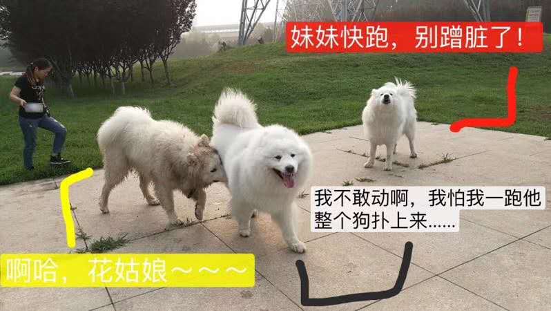 图片1