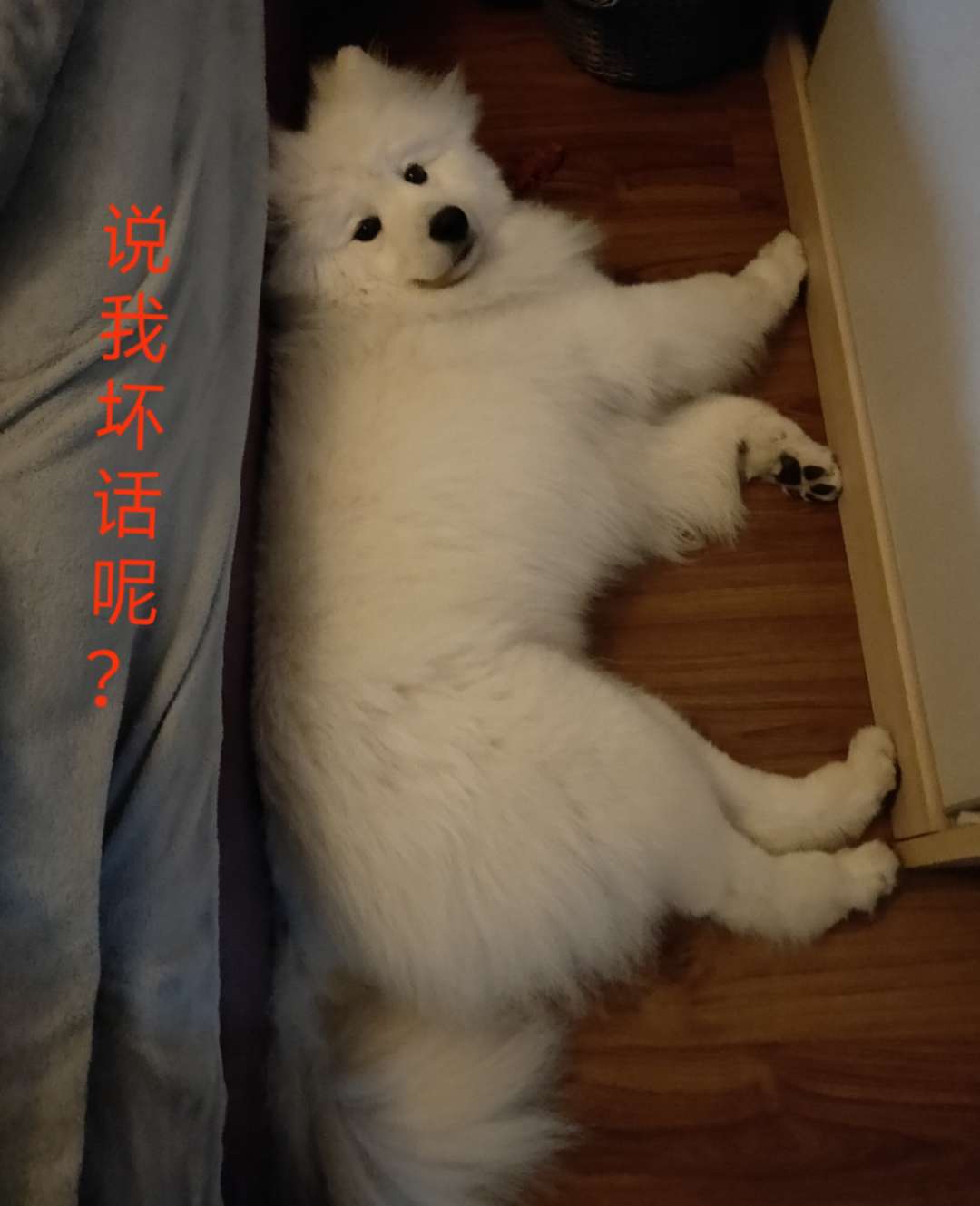 图片1