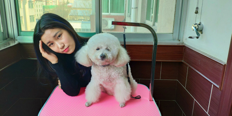 Portable Outdoor Folding Grooming Table, Home Dog Bath, Grooming Easily Done!