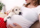 Pregnant Mom Raising Dog, Nothing Cannot