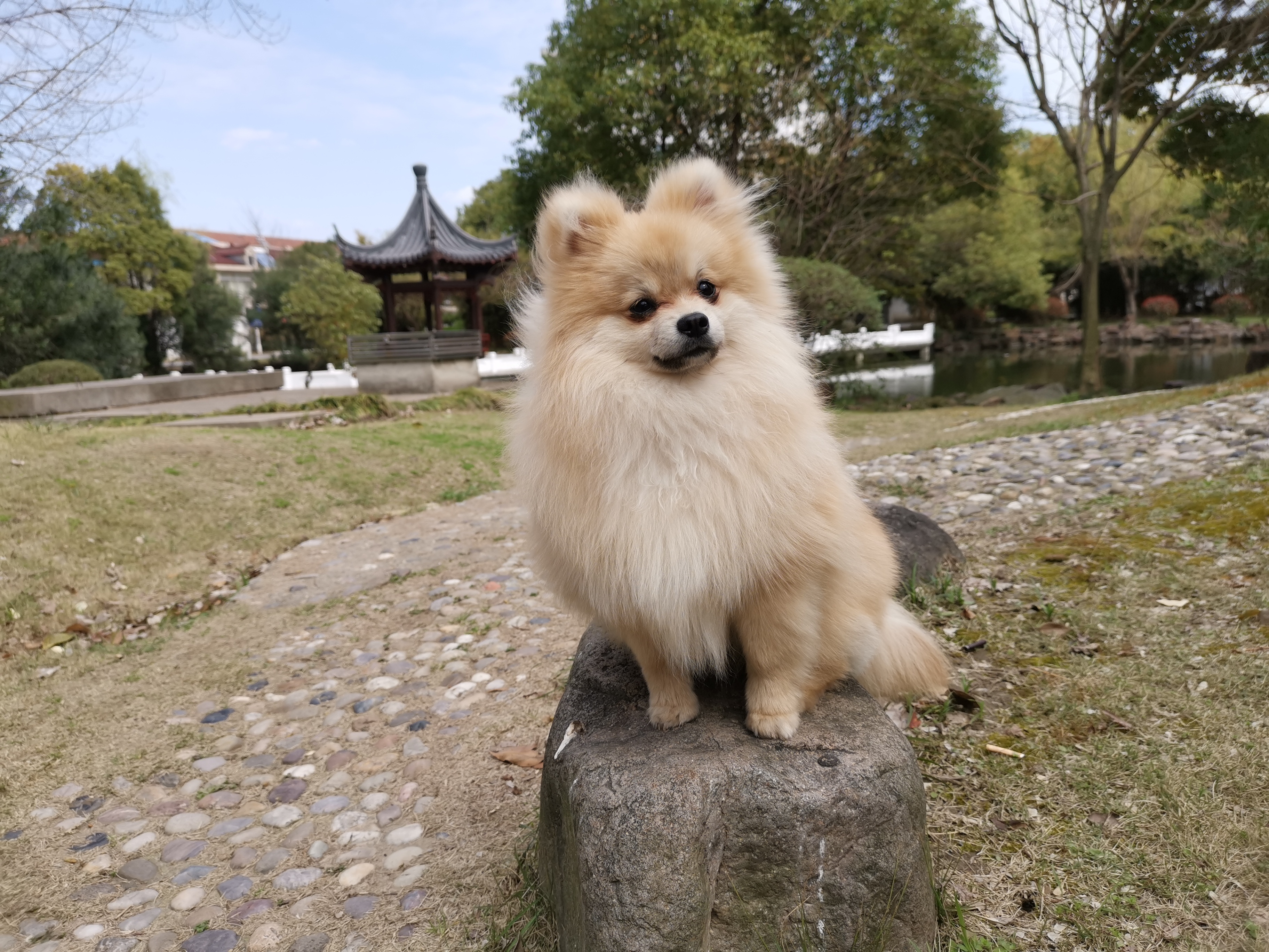 图片1