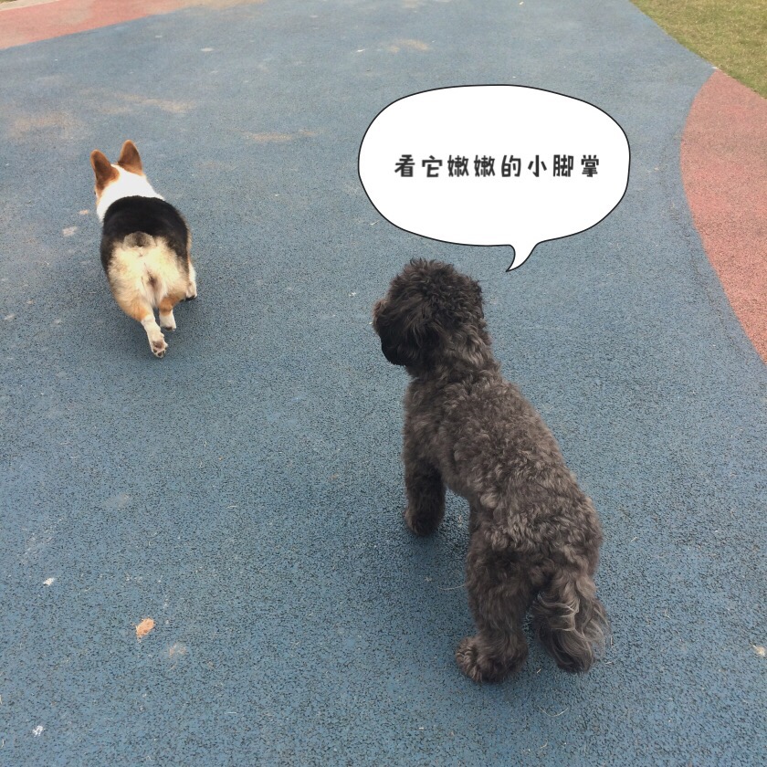 图片1