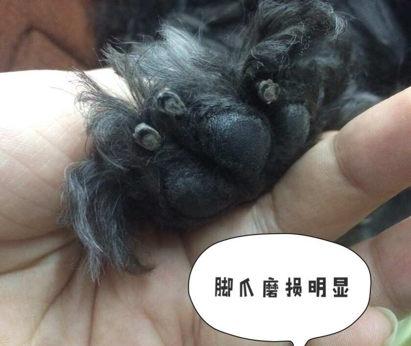 图片1