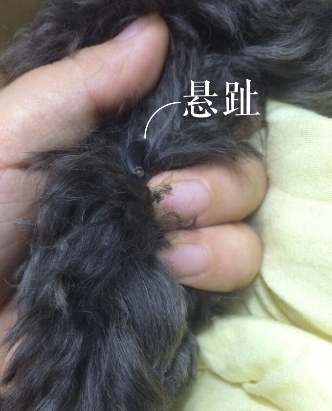 图片1