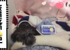 Grizzly's Growth Diary: Medicine Feeding