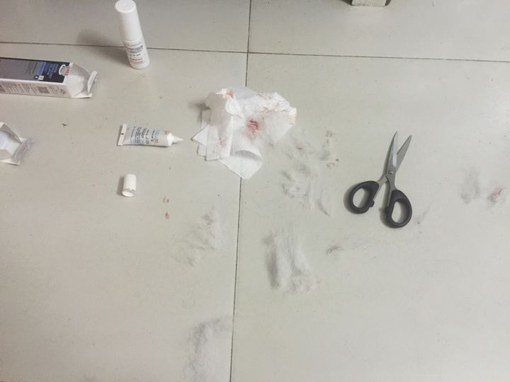 图片1