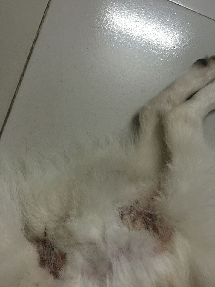图片1