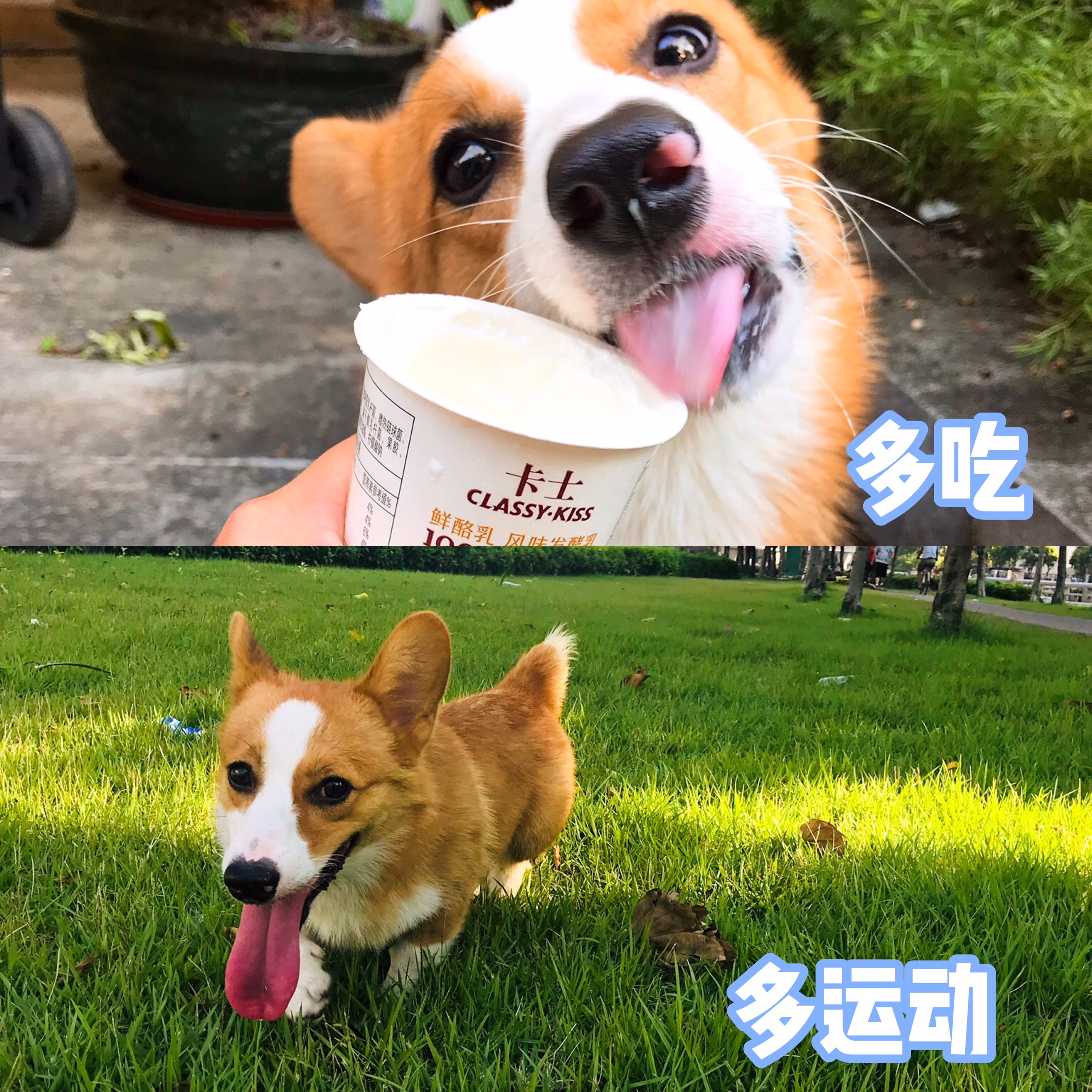 图片1