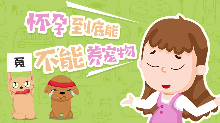 Can I have a pet when I am pregnant?