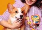 The painful journey of "picking" dog food over the years