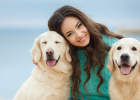 How to Develop Dogs Socialization Awareness?