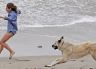 Can You Scare Off a Chasing Dog by Yelling and Chasing Back?