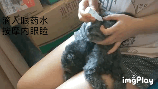 图片1