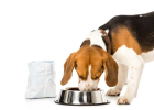 How to Correctly Understand Prescription Food?