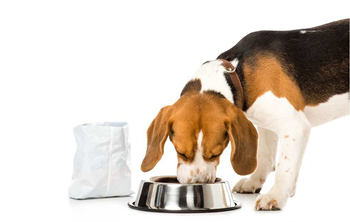 How to Correctly Understand Prescription Food?