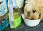 How to Choose Dog Air-dried Food?