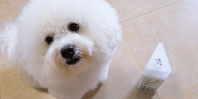 A must for household disinfection! Here comes the highly cost-effective concentrated pet disinfectant