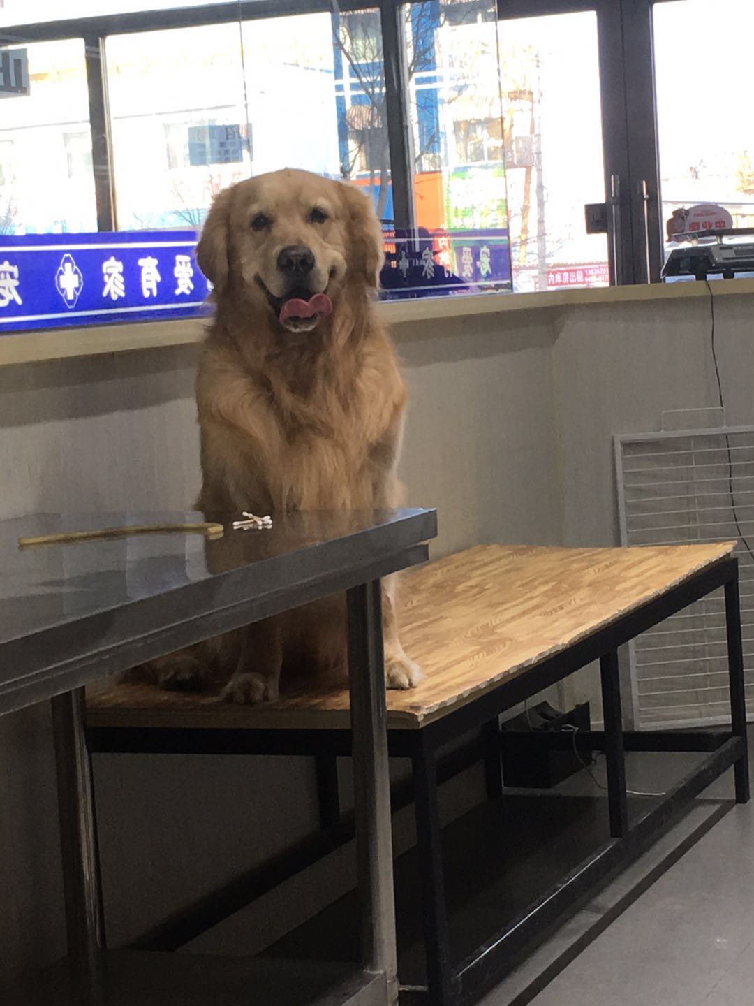图片1