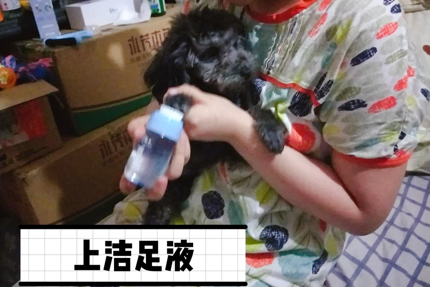 图片1