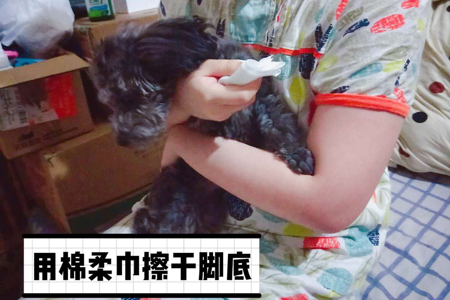 图片1