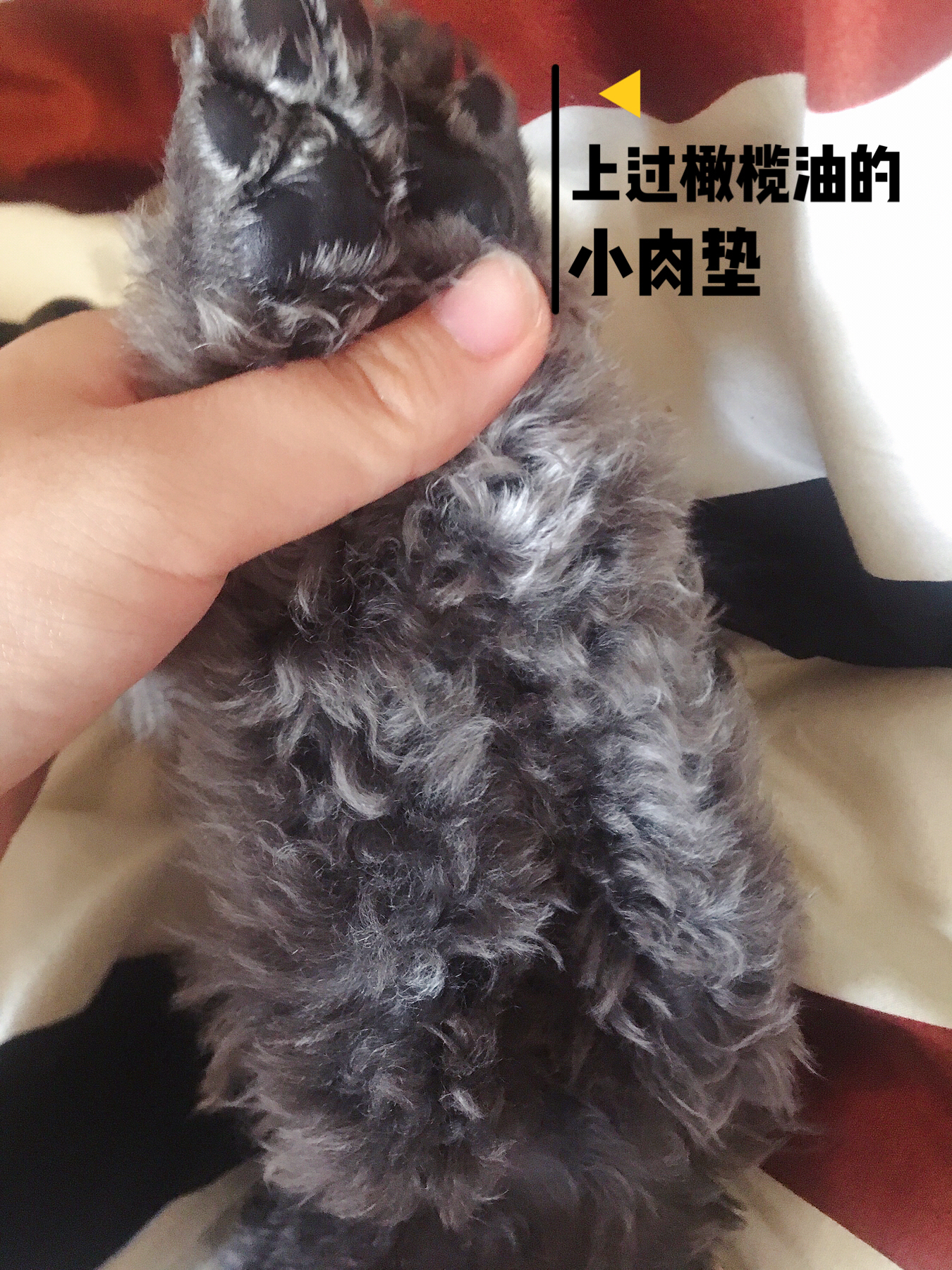 图片1