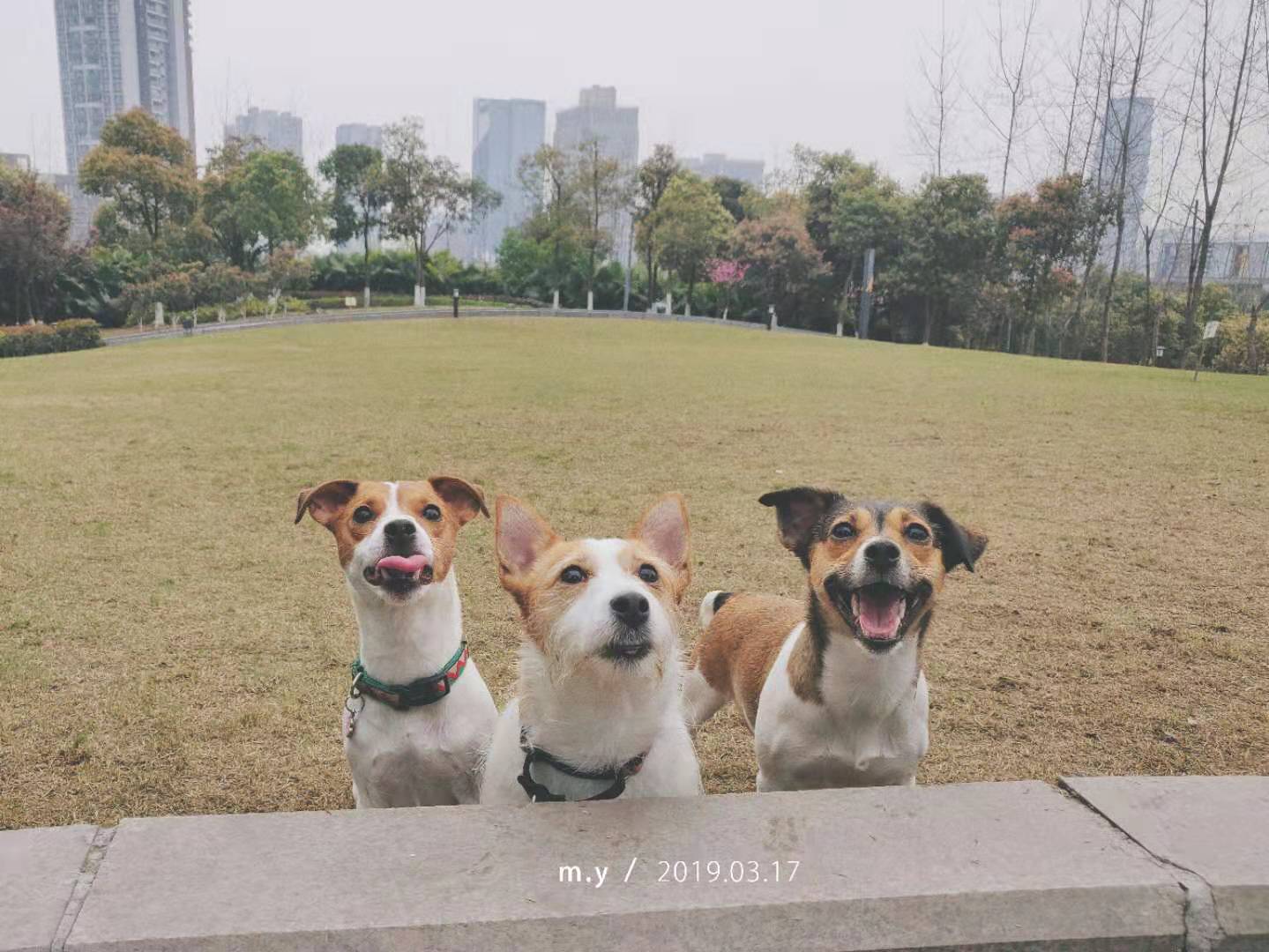 图片1