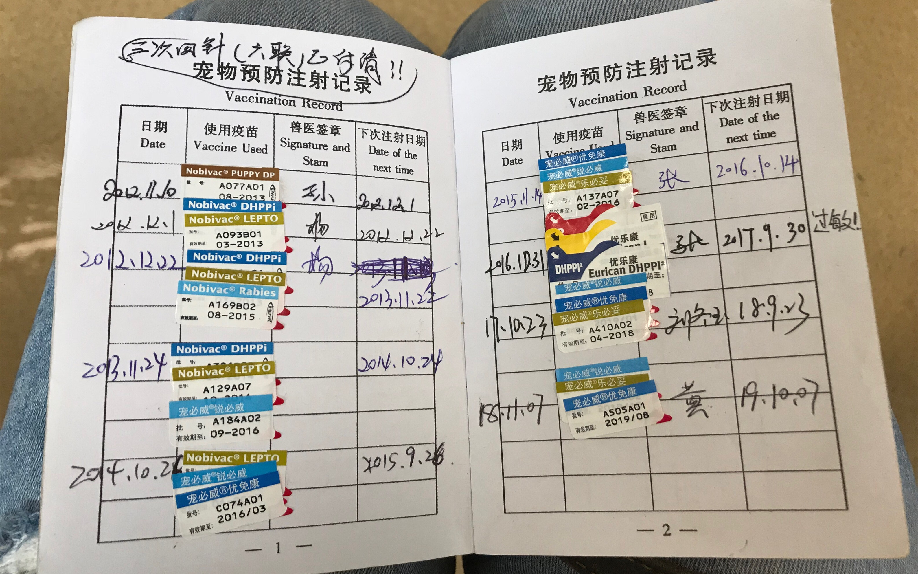 图片1