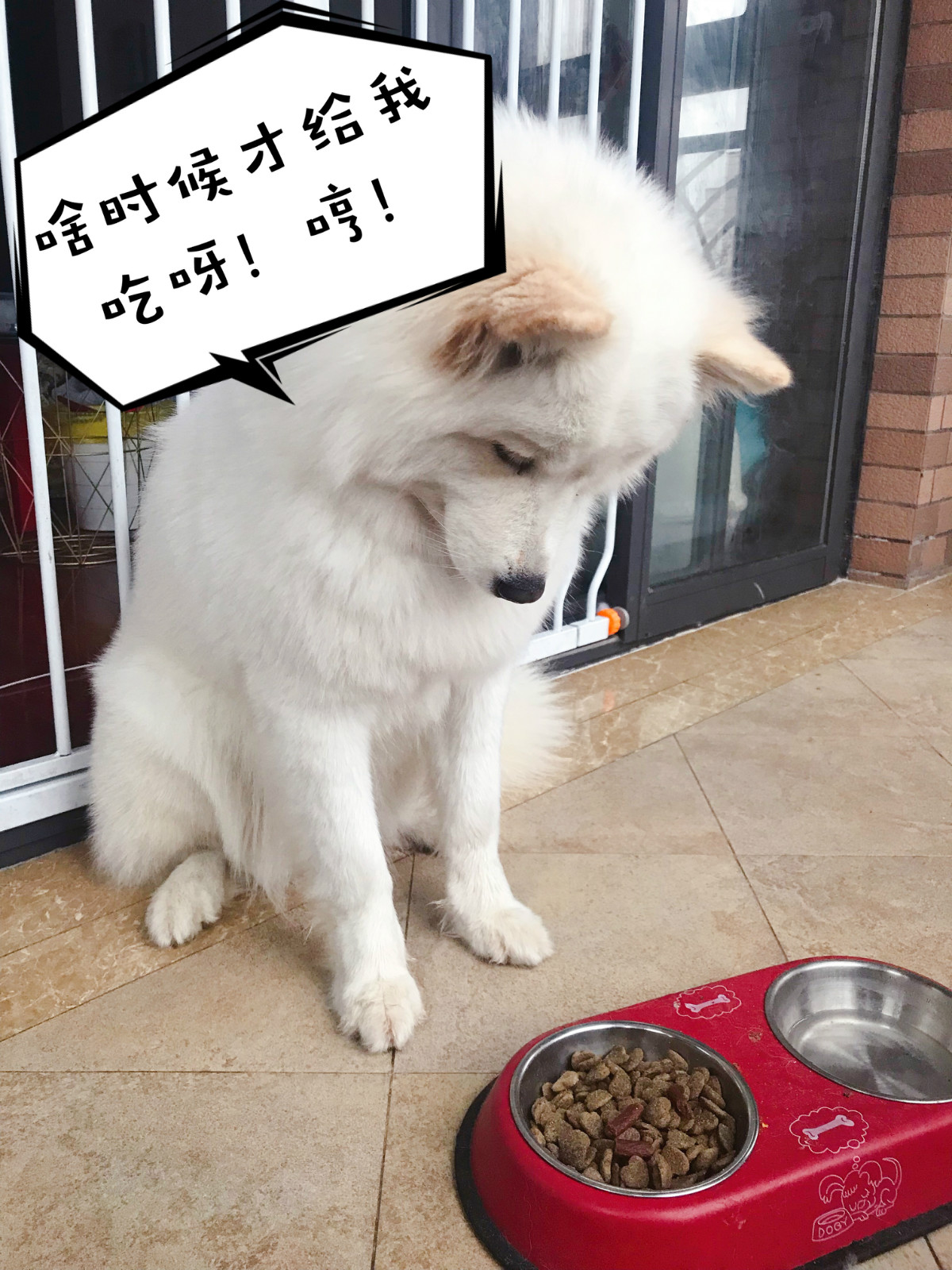 图片1