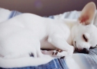 [Share kiki's experience in vaccination ~]
