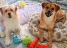 [Health Care] Sharing my Foster Care Experience--Notes