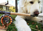Danger! The dog swallowed the fishhook and almost pierced his throat!
