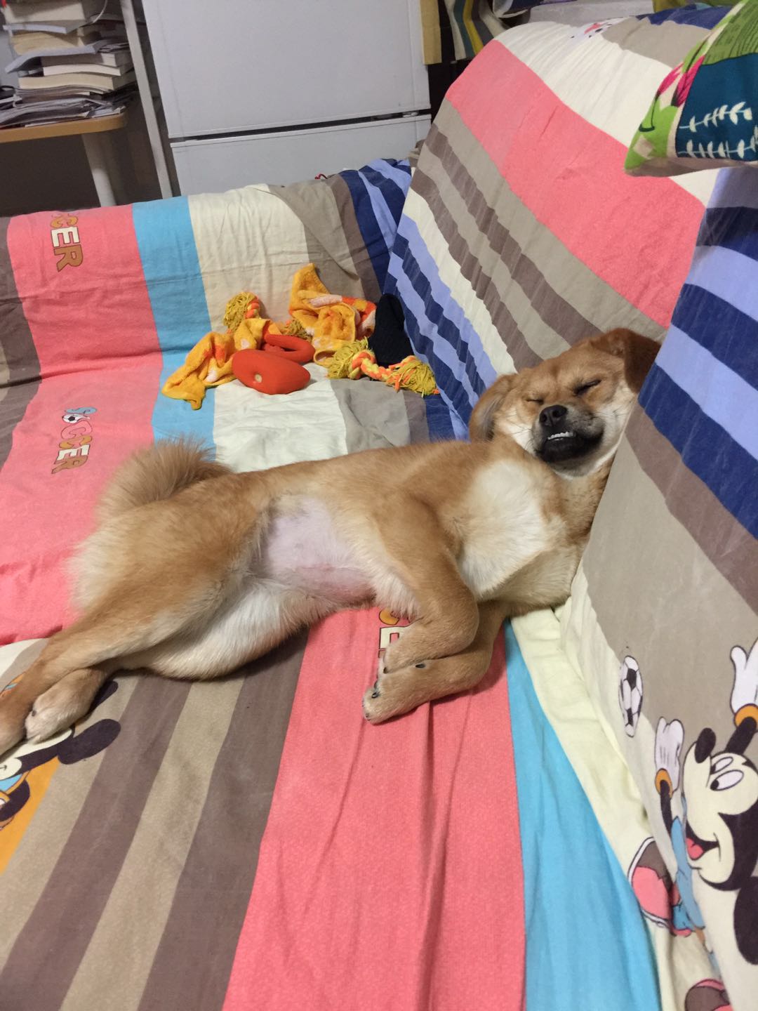 图片1