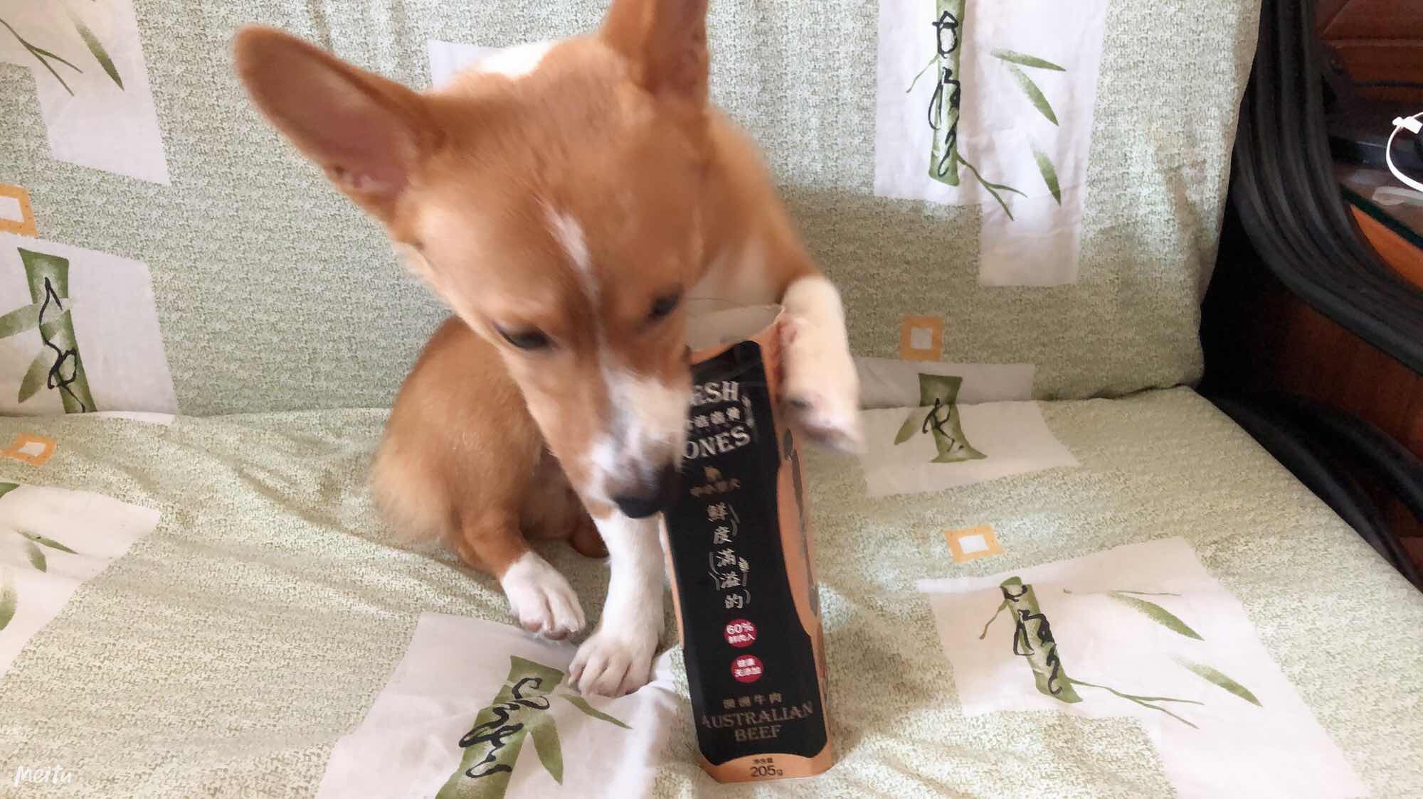 图片1