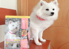 Newton still sells dog food? Oh, it's called Newton ~