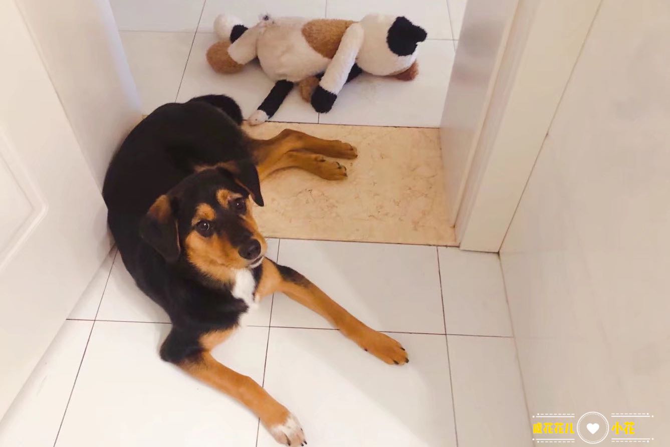 图片1