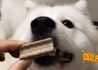 Not all tooth-cleaning sticks are called steel bones