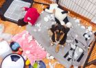 Xiaohua's foster care is more fun--the small overlord of foster care