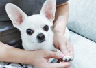 [kiki Share] How to trim nails ~