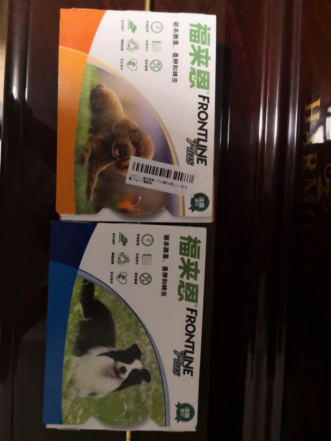 图片1