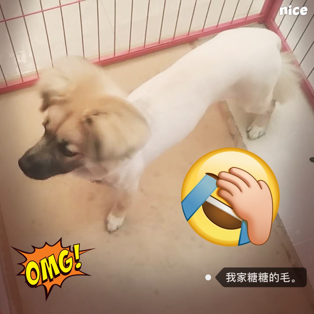 图片1