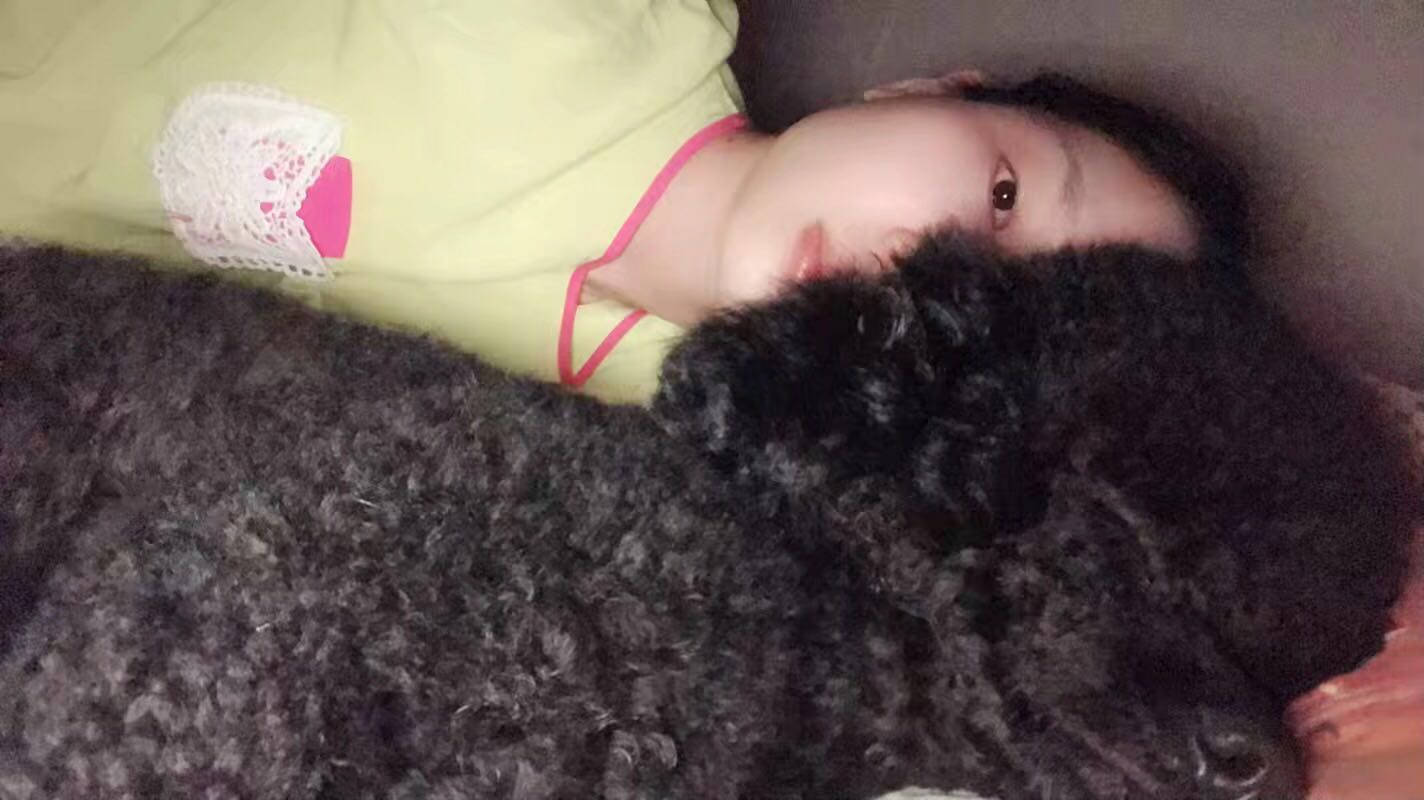 图片1