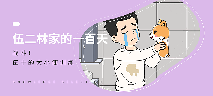 Learn to train your dog to defecate in 2 minutes!