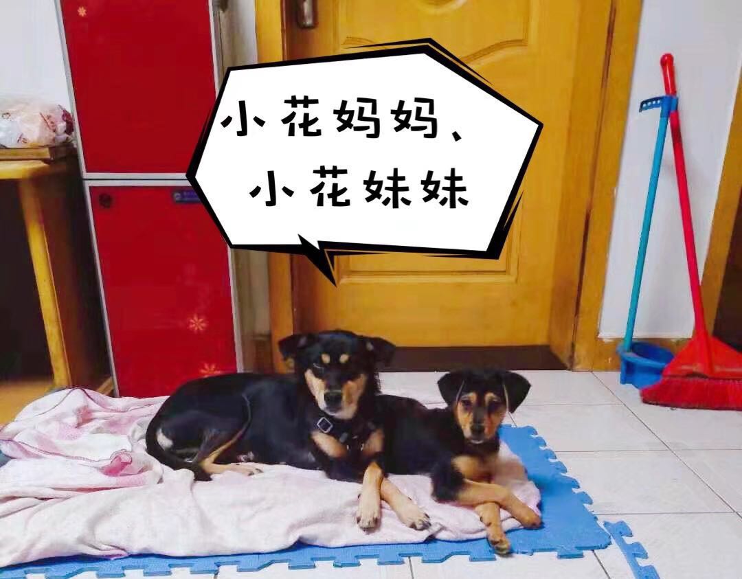图片1